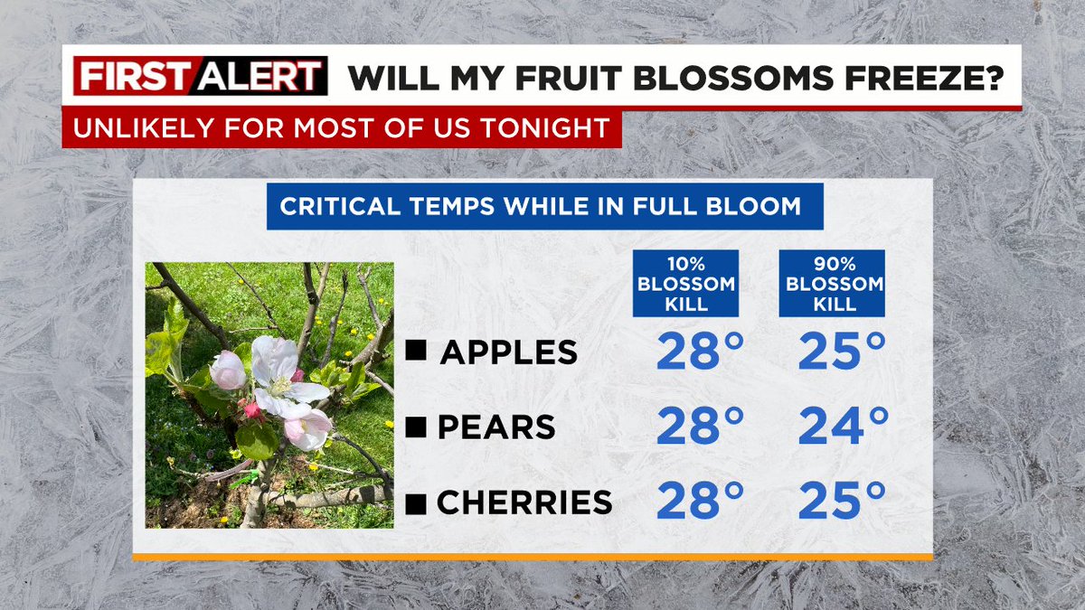 Frost Advisory for most tonight. Not TOO cold, but you shouldn't have warm season veggies/flowers out yet anyway. Fruit trees will be fine with only minimal damage. Temps need to be in mid-20s to kill most of summer's fruit crop (when in full-bloom); that's not happening tonight