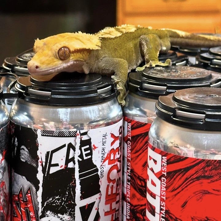 Your LIZARD BRAIN is telling you that you want, strike that, need Adroit beer….

#beertography #beer #brewery #vacraftbeer #vabeer  #craftbeer #beerstagram #beergeek #beernerd #instabeer #beerme #drinkcraftbeer #beerart #craftbeerlife #beersnob #drinklocal #beeradvocate