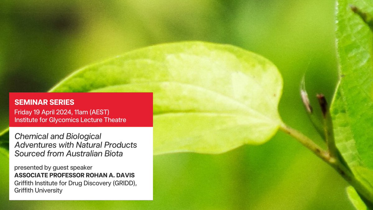Join us this Friday 19 April at 11am for a #seminar presented by guest speaker A/Prof Rohan A. Davis entitled “Chemical and Biological Adventures with Natural Products Sourced from Australian Biota”. Venue: @GlycoGriffith Lecture Theatre, Gold Coast campus, G26, Room 4.09