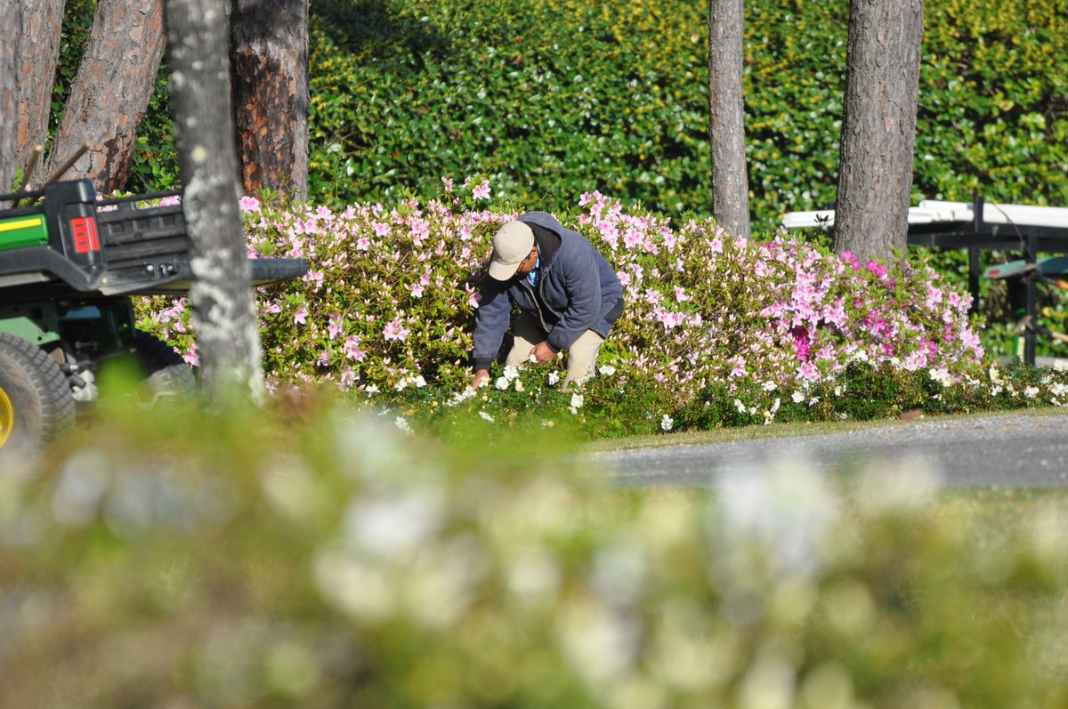 Koji Mitchell tweet media