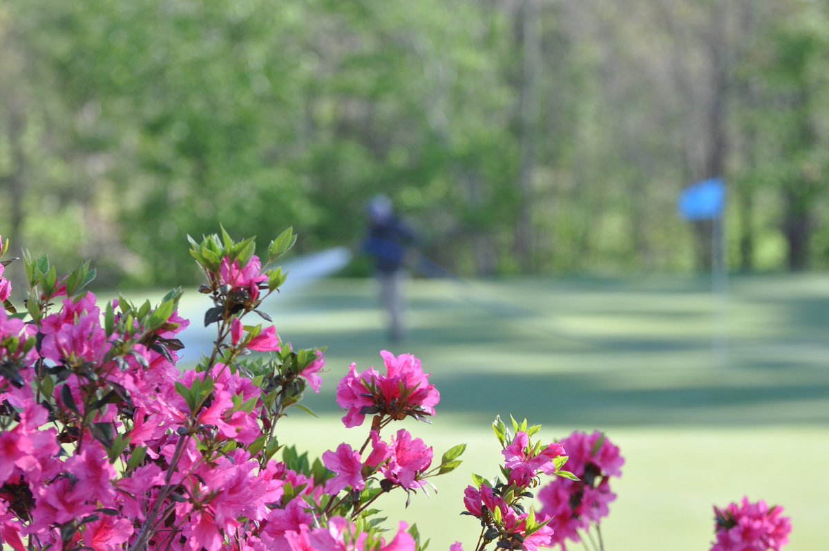 Koji Mitchell tweet media