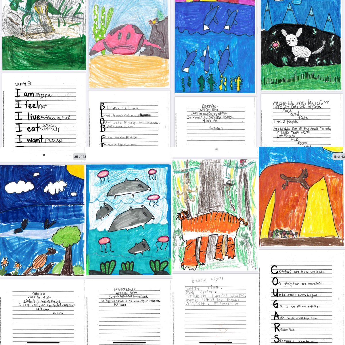 Cristela Garza (@classgarza) on Twitter photo Canโt wait to see our final published book. My class <a href="/BluebonnetRRISD/">BluebonnetElementary</a> have been working hard on their animal research project. They have used thier research as inspiration for our class animal poetry book. Canโt wait to see our final published book. My class <a href="/BluebonnetRRISD/">BluebonnetElementary</a> have been working hard on their animal research project. They have used thier research as inspiration for our class animal poetry book.