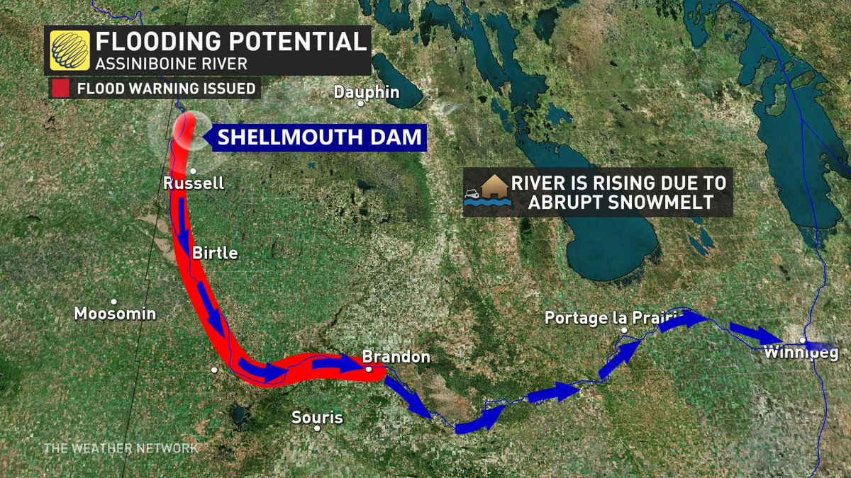 Persistent rain is expected to continue in southern Manitoba through Wednesday, increasing the water levels on the Assiniboine River –– from Russel to Brandon, Man. A look at the flooding potential and where the warning is. #MBstorm #MBwx
