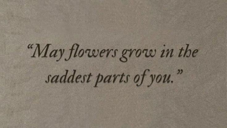 heartyielder's tweet photo. 🌸 https://t.co/DoVtEyGSgX