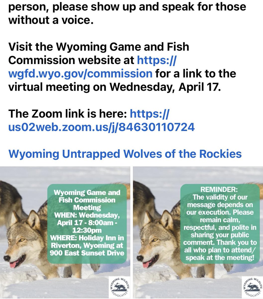 4 Corners Wolf Dog Rescue Sanctuary Inc (@4Corners_wolf) on Twitter photo 2024-04-17 00:36:18