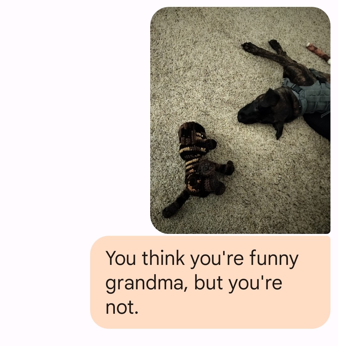 Happy National pet day! #ChampionsLeague #tuesdayvibe #dogs #doglover #petlovers #pets #dutchshepard craftyauntnancy.etsy.com