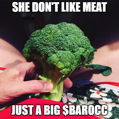 BAROCCSOL's tweet photo. Baraccoli Obama Aka $BAROCC https://t.co/KxEZP6o9Hd