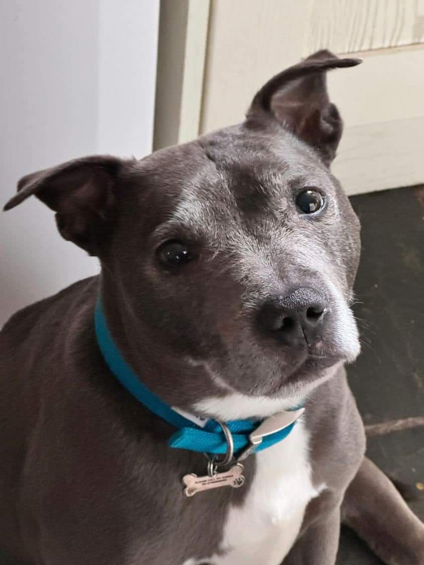 SeniorStaffy tweet picture