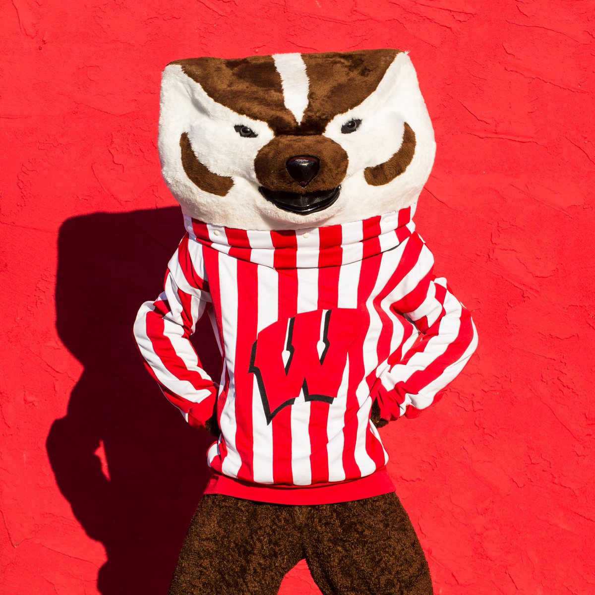 Proud to be a Wisconsin Badger today and every day! #DayoftheBadger Support here: dayofthebadger.org/campaign/indus… @UWMadison @UWMadEngr @WisAlumni