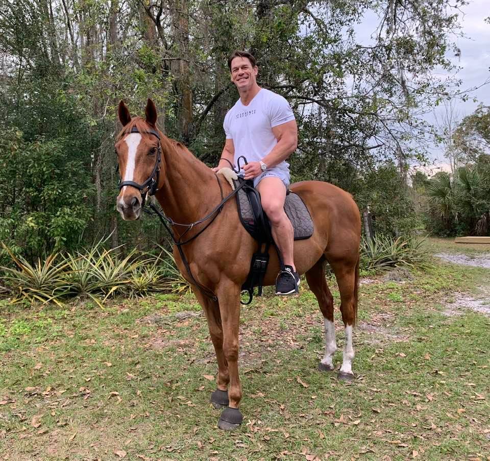 Featuring: Equestrian Inc. Location: Brandon, Florida “The recognition and prestige of being associated with Thoroughbred Aftercare Alliance has opened up a broader spectrum of donor avenues that otherwise...' Learn more here: thoroughbredaftercare.org/equestrian-inc/