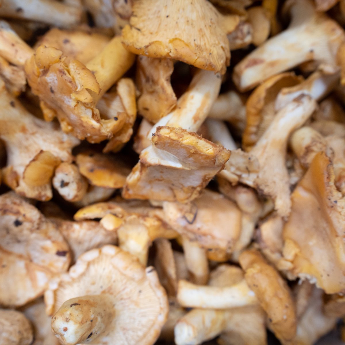 Fortune Fish & Gourmet tweet media