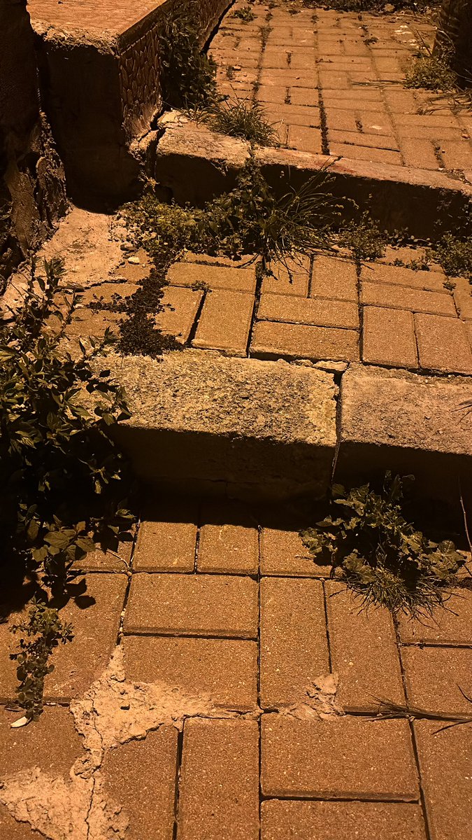 selcuk karadayi tweet media