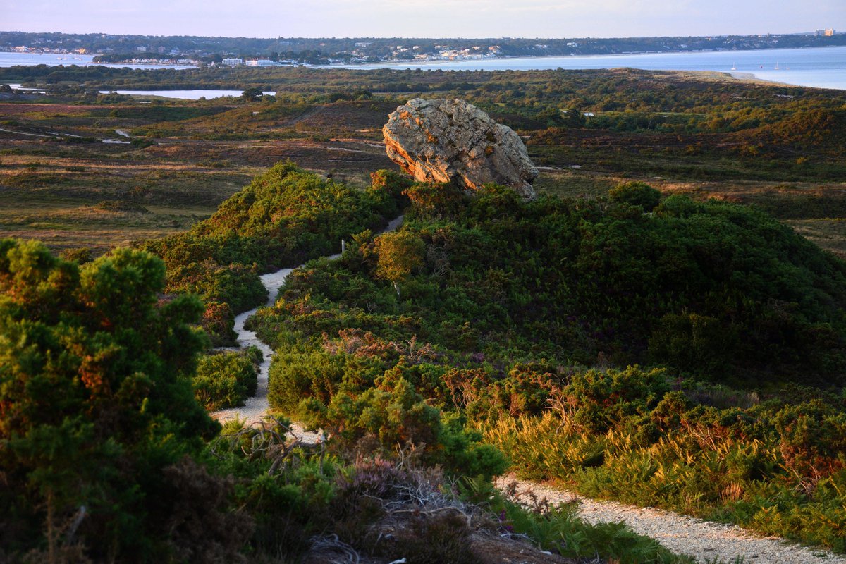 Agglestone Rock Dorset UK #RockinTuesday @DorsetTourism #photography #trail #wanderlust #amazingplace #hikingadventures #DorsetsBigPicture #tuesdaymotivations