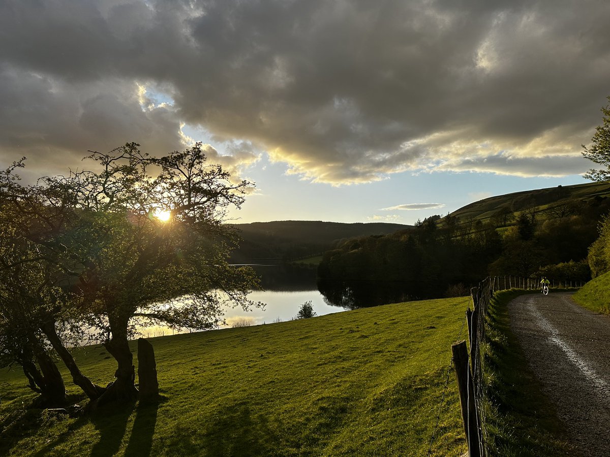 John Williams tweet media