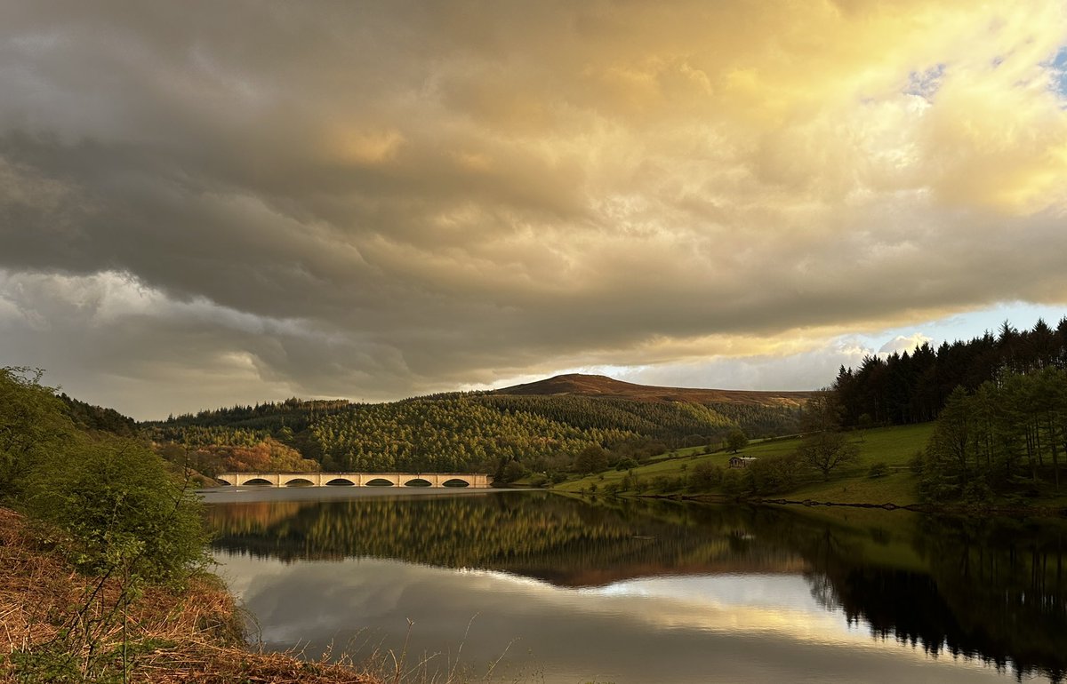 John Williams tweet media