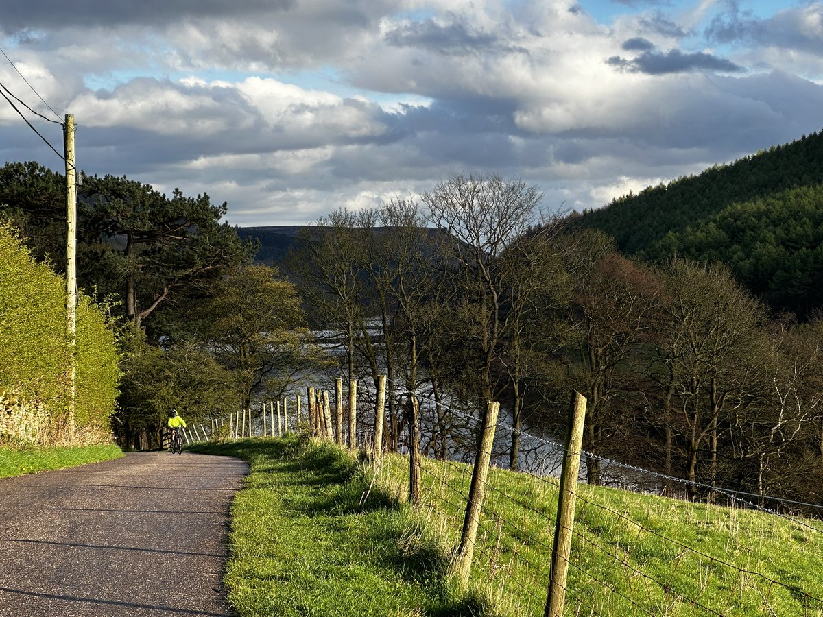 John Williams tweet media