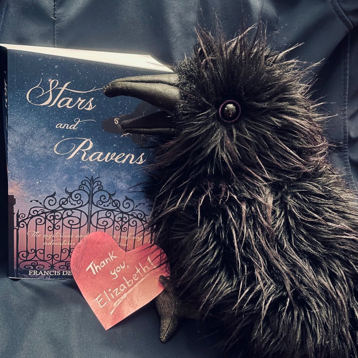 Once more with Fenwick:
Fenwick, @DeerFrancis  and I say thank you for this great and thoughtful review for Stars and Ravens, @illyianoelle and @EPICIND1E. 🥳 This definitely made our day.

#InquisitiveRaven, #SPFBO9, #SPFBO