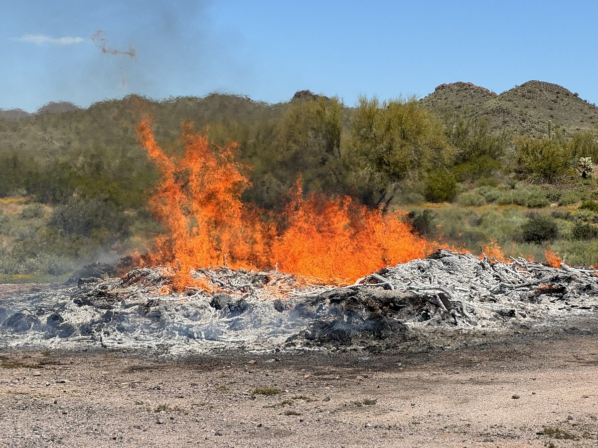 Ignitons completed on Lost Dutchman State Park pile burn operation: 30 acres. Smoke moving NE, but dissipating quickly. Great team effort w/@AZStateParks to safeguard parks & nearby communities. 🔥Park is open to visitors. #AZFire