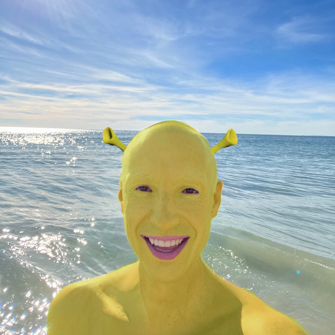 the effects of social media need to be studied bc I had a dream that someone had the fucking cocky want boing boing image as their PFP but it was like this and they said 'we've come for your shreks'
