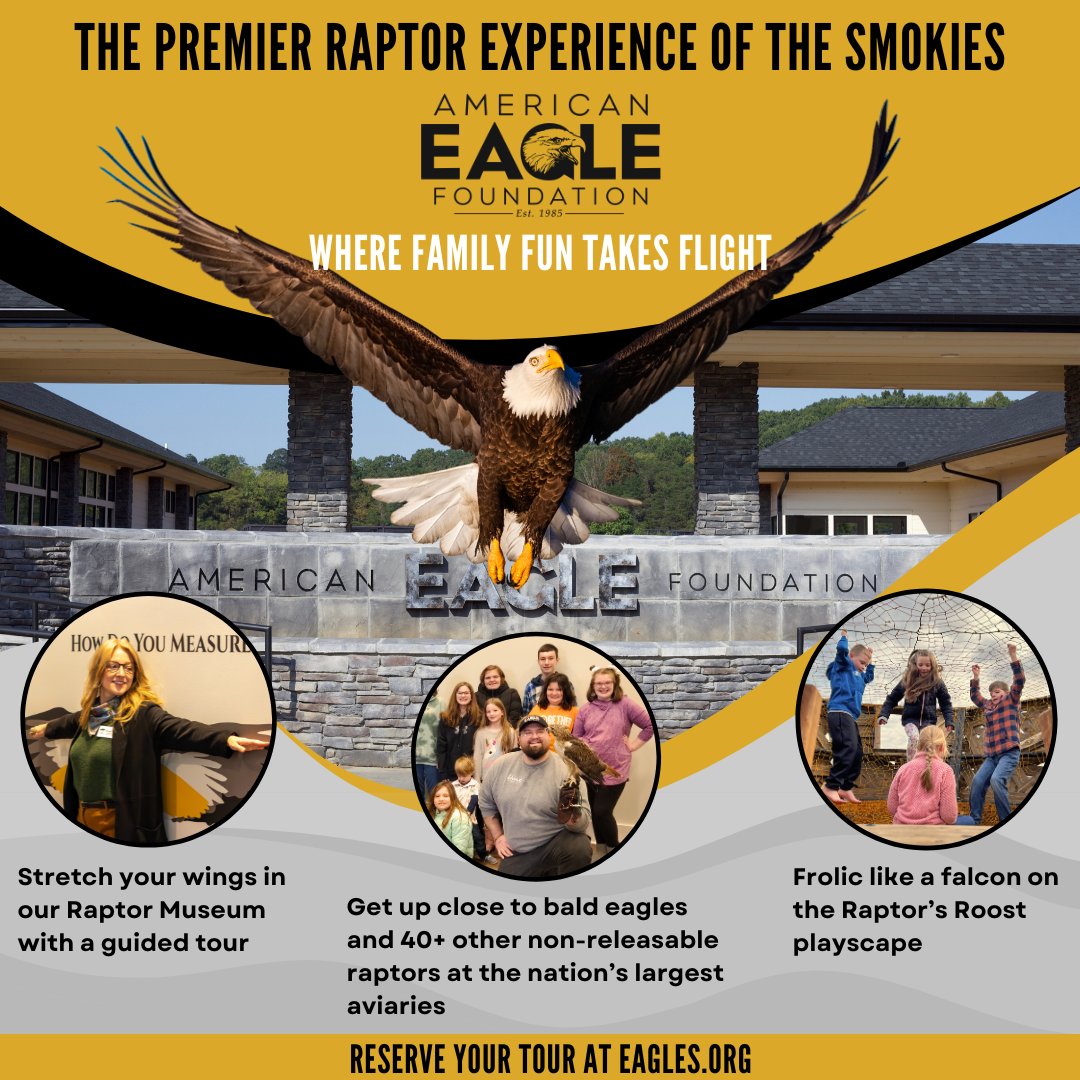 NOW OPEN: The Smokies' Premier Raptor Experience

American #Eagle Foundation's spacious new facility allows us to connect with our community like never before. 

Make your reservation TODAY at eagles.org/product/tours/

#smokymountains #smokymountaintourism