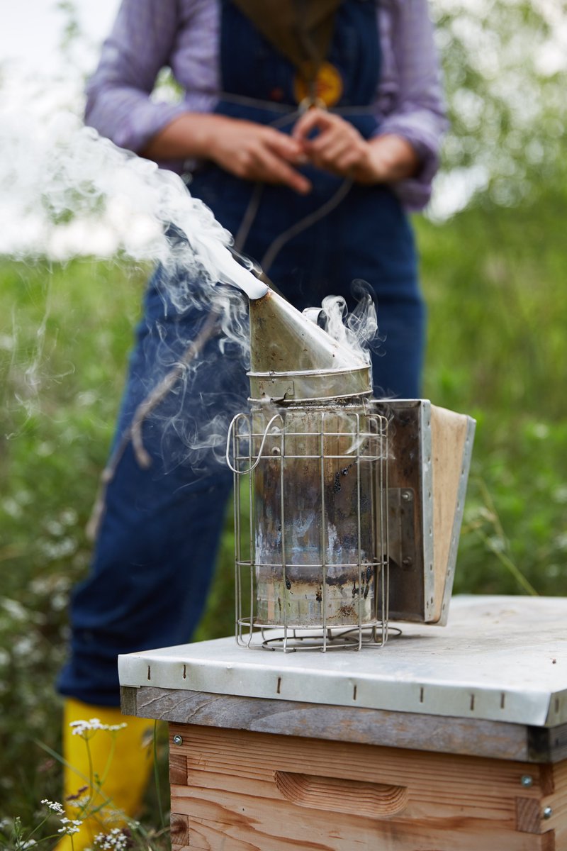 LocalFoodSafety's tweet photo. Bees Please! Get the buzz from apiary operations at two different ends of the country: Detroit Hives in Michigan, and Two Hives Honey in Austin, Texas. Learn how pollinators enhance the fabric of an urban landscape, honey consumer expectations, and more!

https://t.co/NvRmxqokqa https://t.co/oPR59MwyeU