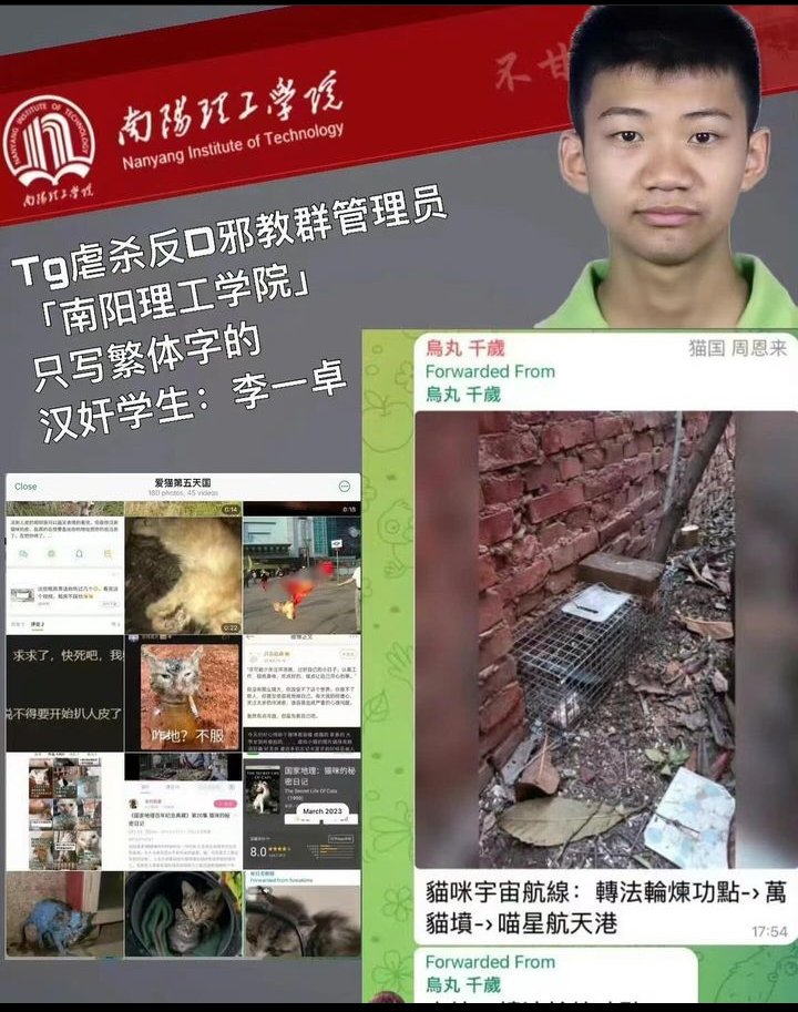 ᕼᗩᒪIᗩ tweet media