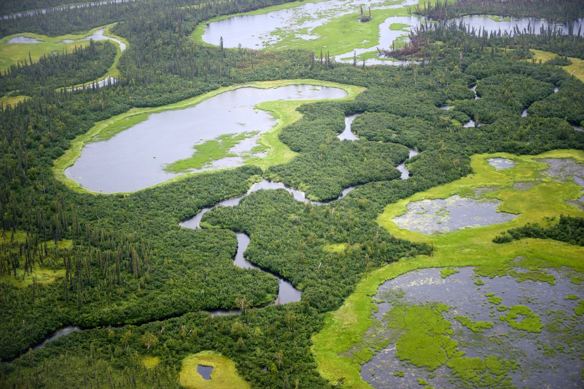 Unlocking The Mystery Of #Arctic #Wetlands' #Methane #Emissions Surge
-
scitechdaily.com/unlocking-the-…
-
#GIS #spatial #mapping #water #hydrology #boreal #greenhousegases #permafrost #climatechange #spatialanalysis #spatiotemporal #ecosystems #monitoring #instrumentation #modeling