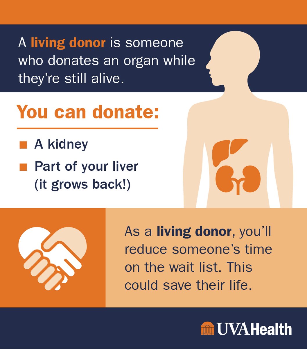 Living donors can donate a kidney or part of their liver. You'll reduce someone's time on the wait list, which could save their life. Learn more and sign up to be a living donor: bit.ly/4d1m1IG @uvatransplant @donatelifeva #LivingDonor #DonateLifeMonth