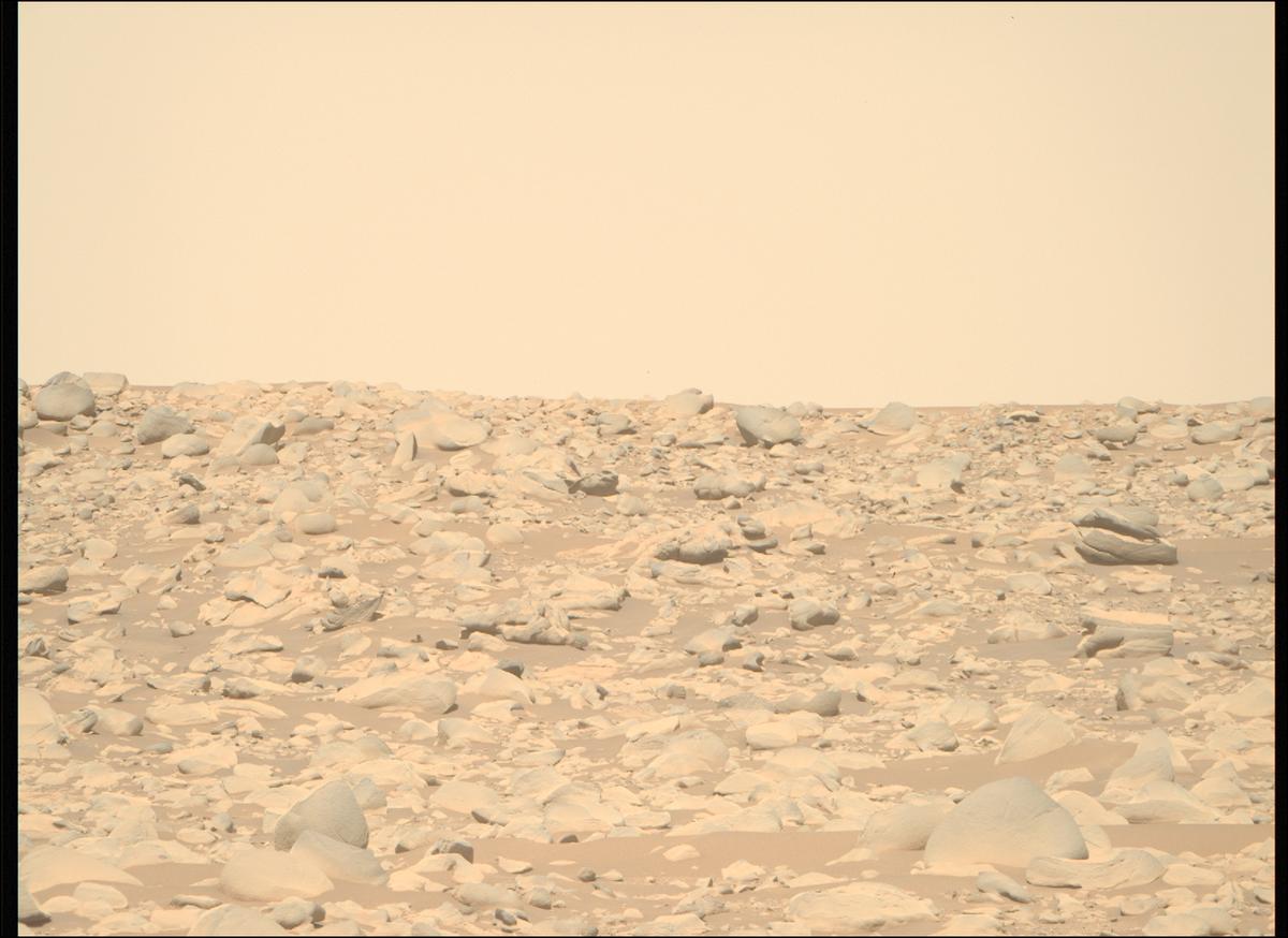 MarsMissionImgs's tweet photo. #PerseveranceRover image taken on #Sol873 at 12:32:10.584 PM with #MastcamZ #Mars #NASA #Space https://t.co/XshtslcfTs