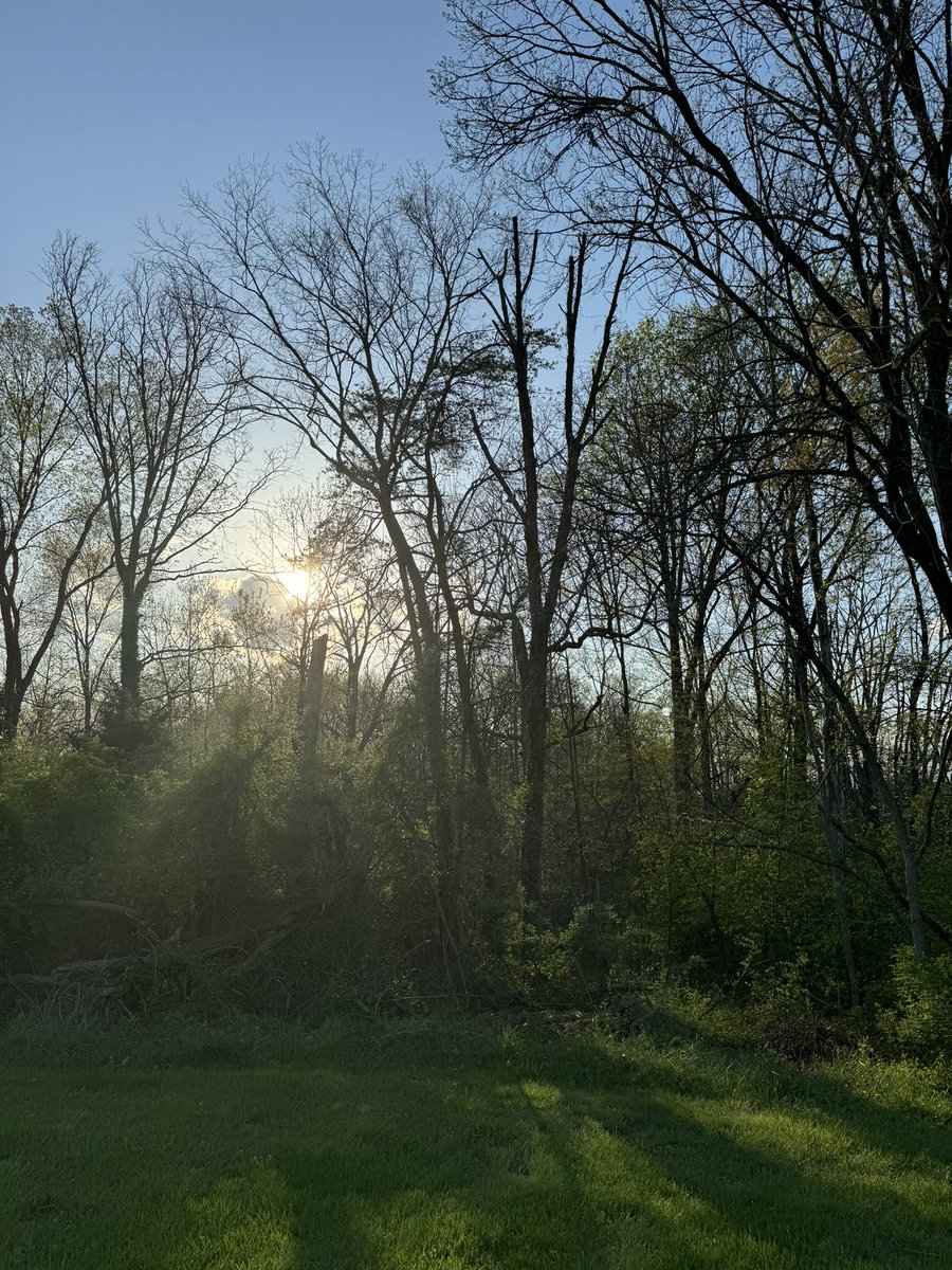 Happy Spring☀️, Dathuria📍