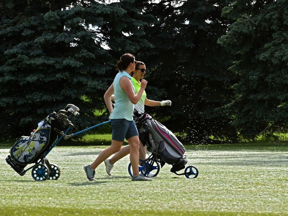Opinion: Keep Edmonton-run golf courses, but make them more diverse, sustainable Read More: edmontonjournal.com/opinion/column… #yeg