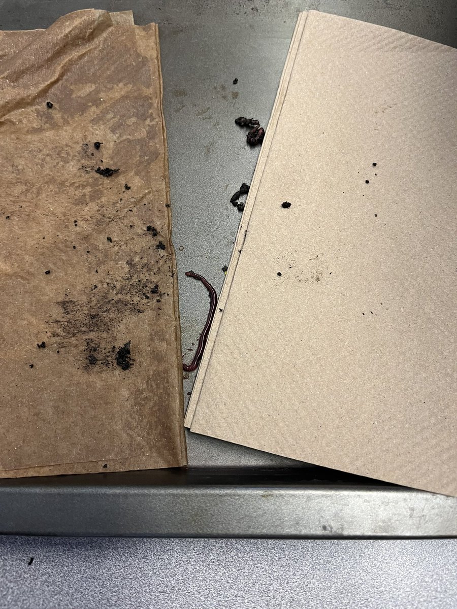 SUPPASTARS tweet media