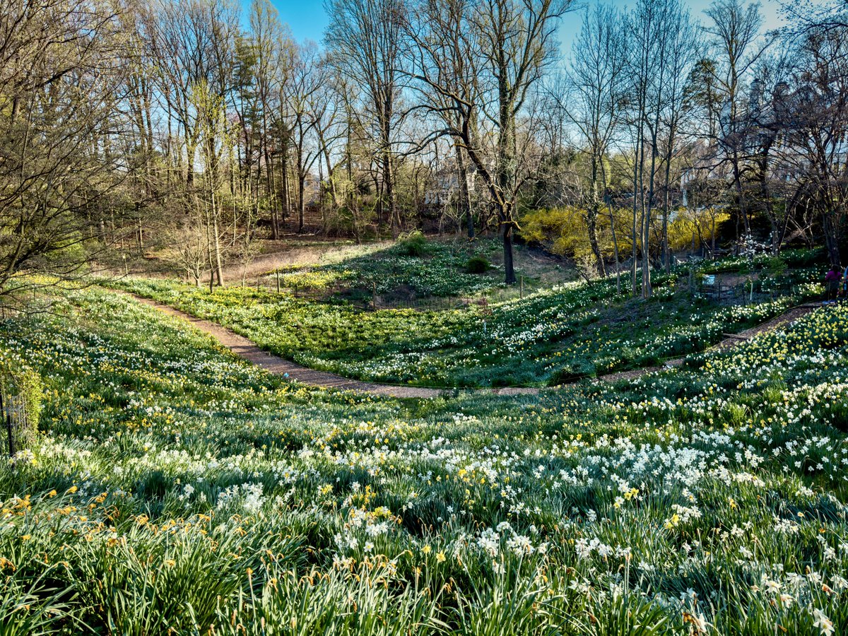 Every visit to #ReevesReedArboretum in #NJ is so memorable 💐🌼