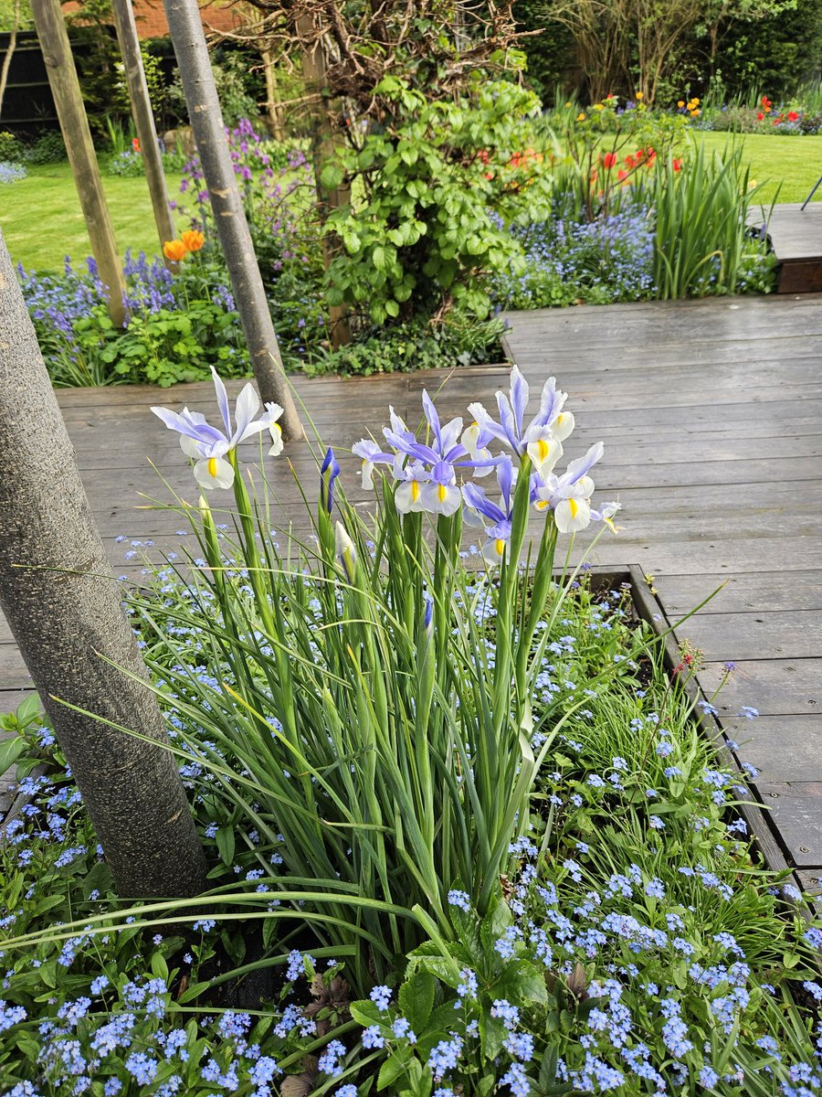 All hands on deck now that spring's here...#GardeningTwitter #gardening 
#GardeningX #gregthegardener