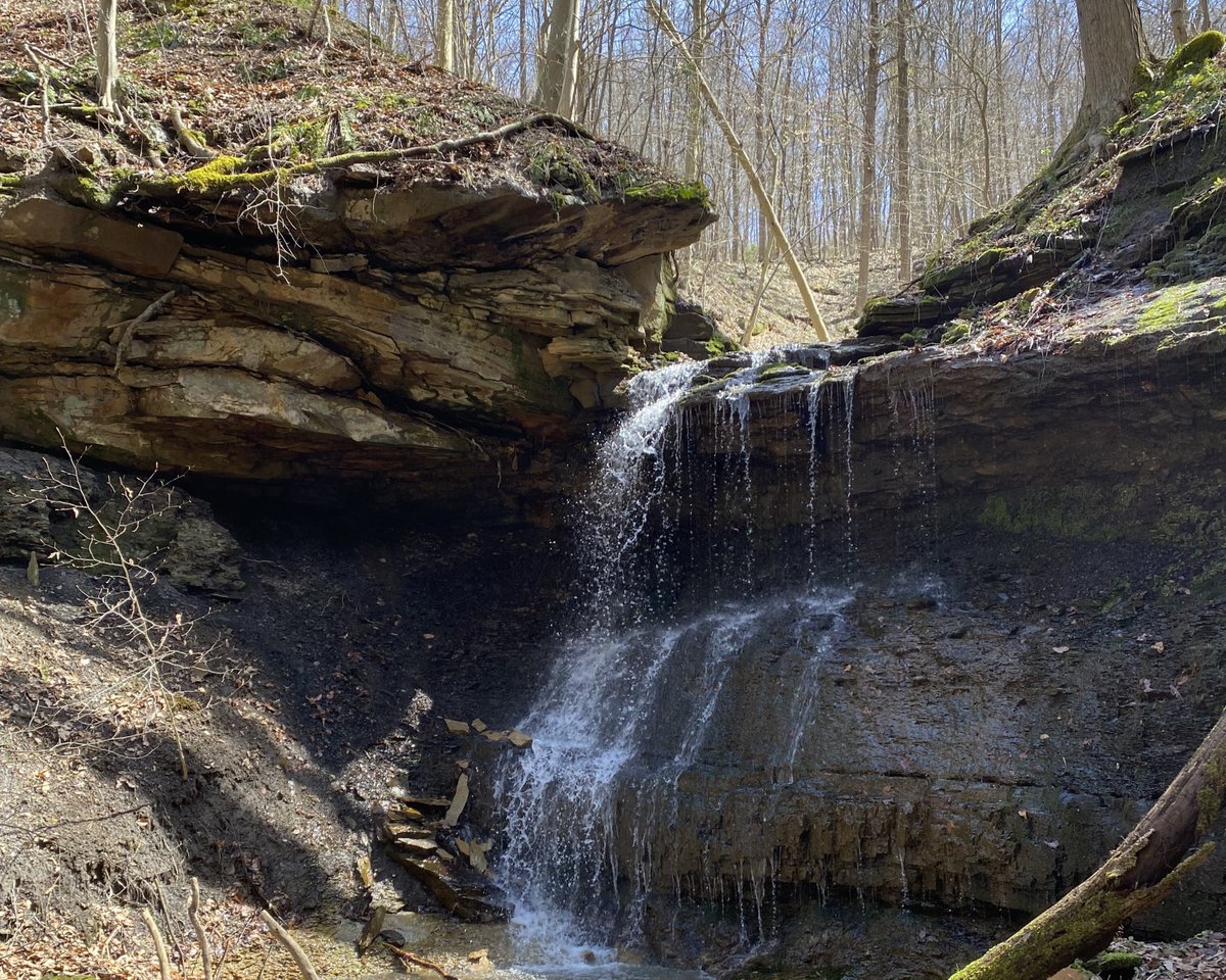 102 acres along Little Beaver Creek becomes Ohio’s 147th State Nature Preserve - Habitat protects the most northern population in Ohio of former federally endangered plant ohiodnr.gov/discover-and-l… #naturepreserves #conservation #littlebeavercreek @OHHeartofitAll