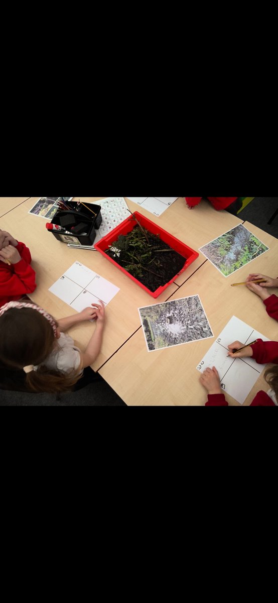 Nicole_Piper_'s tweet photo. Loving the @Talk4Writing magic taking place at Pevensey &amp; Westham School. From swamp hooks, independent story invention opportunities, and reflective learning leading into the next unit. Fab day! @PieCorbett @JamieThomasTFW 🗣✍️💥 https://t.co/fkrS9q46ss