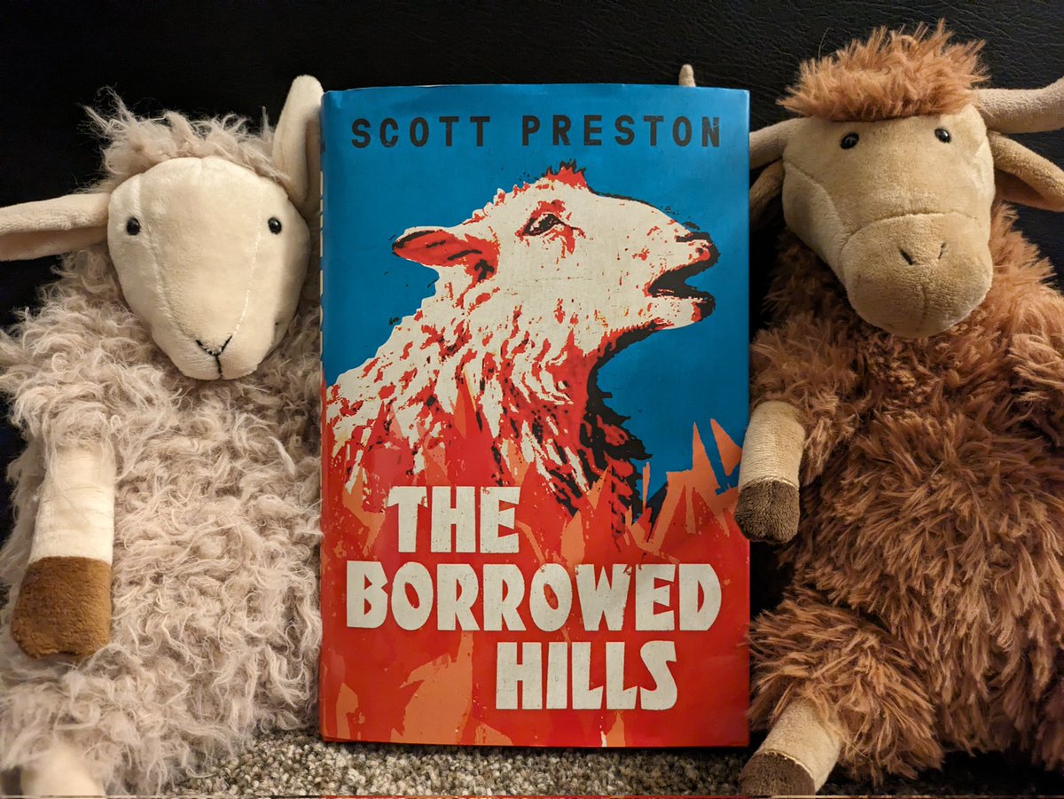 The Borrowed Hills by @Scott__Preston. Incredible, just incredible. Preston has made poetry from the hard, harsh life of sheep farming following foot and mouth, and the brutal determination to carve a living from the stone. Absolutely stunning.