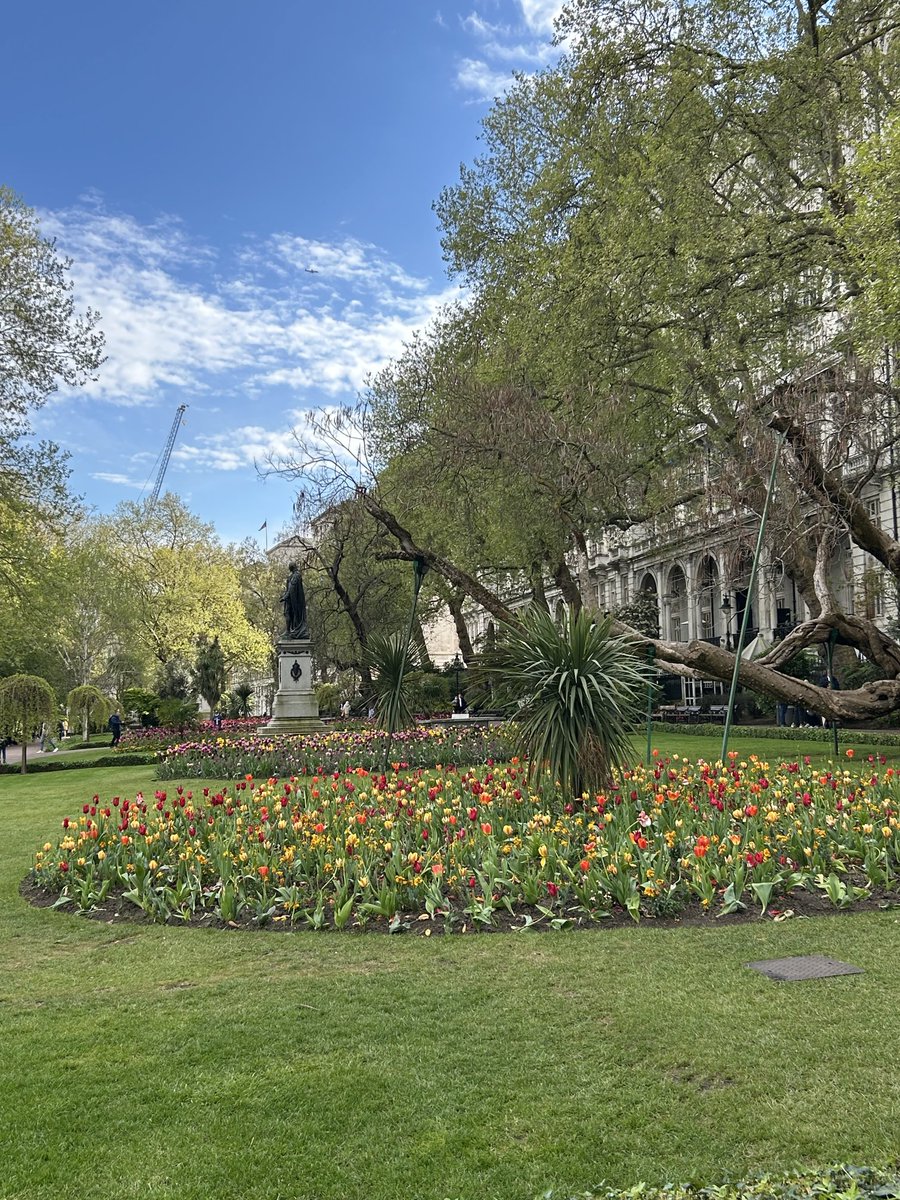Busy week in London first meeting of @RCVS Mandatory Practice Standards group and the Standards Committee. It takes more time to walk to venues but you miss some of the spectacular flower displays in the parks on the tube
