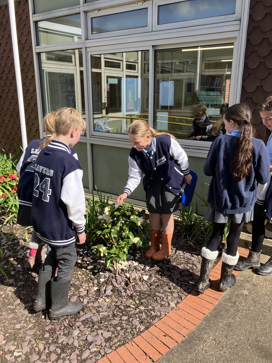 BleasbyPrimary's tweet photo. Y6 conducting a field study of our beautiful grounds as part of our Enquiry work about  our Bleasby environment. https://t.co/Tf3aXoZG8A