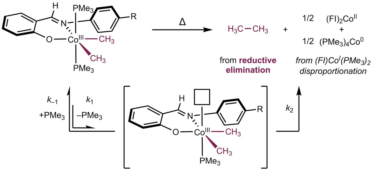 Just out in @Orgmet_ACS We demonstrate that (FI)cobalt(III) dimethyl compounds undergo C–C reductive elimination at elevated temperature - providing important insight into bond formation with (FI)cobalt @ChirikGroup @pchirik @stevewiz06 pubs.acs.org/doi/10.1021/ac…