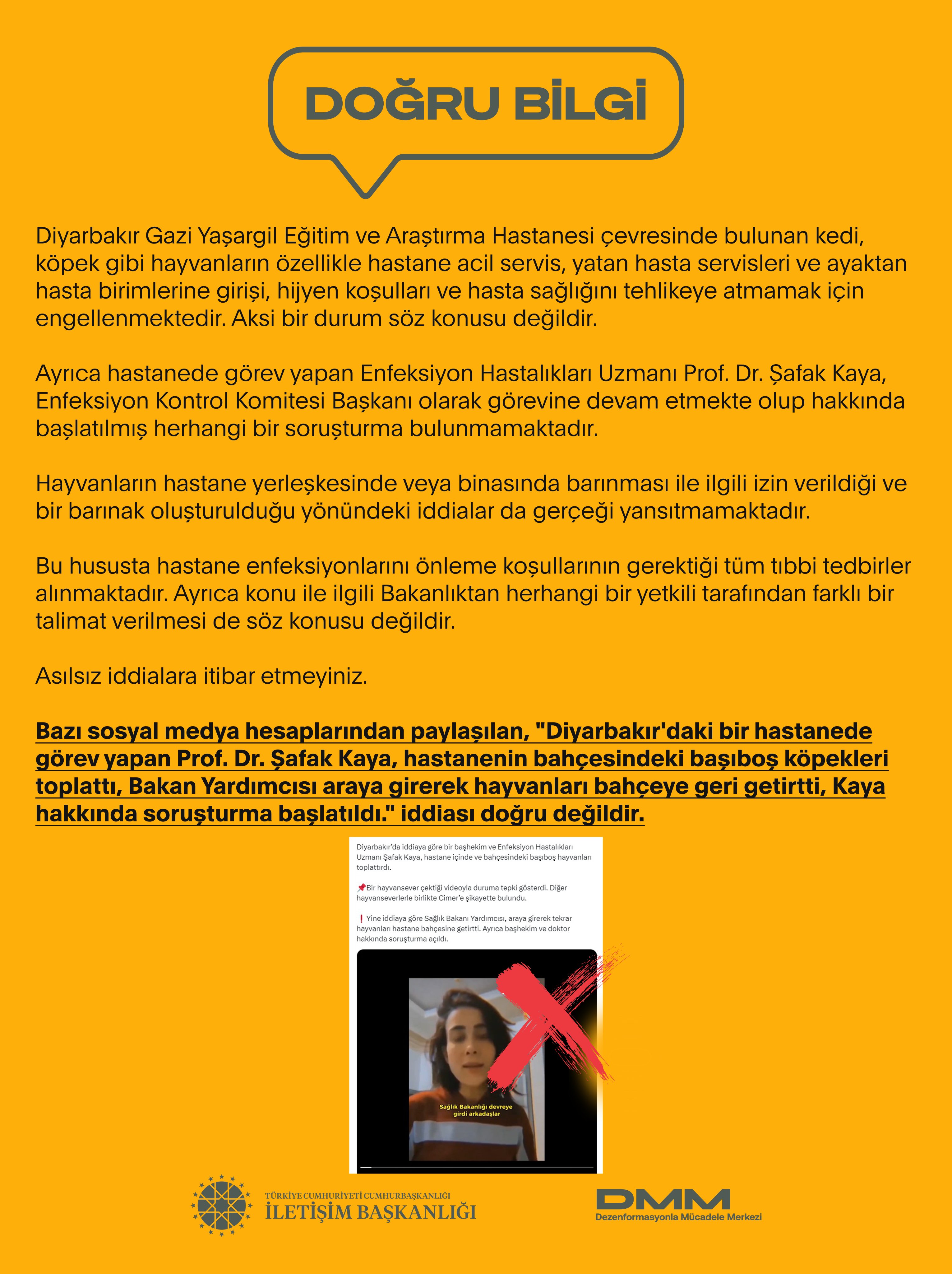 Diyarbakır'daki "başıboş köpekler" iddiası yalanlandı!