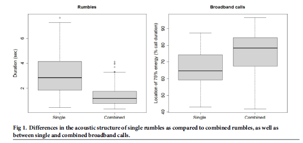 CSCU Assisted Pub: #PLOSONE: Call combination in African forest elephants Loxodonta cyclotis dx.plos.org/10.1371/journa… 
Congratulations, Daniela &amp; Anna! 
<a href="/ElephantRumbles/">Elephant Listening Project @ The Cornell Lab</a> <a href="/CornellSounds/">Yang Center for Conservation Bioacoustics</a> #CSCUassists