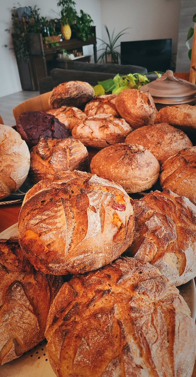 Men, what's stopping you from putting bread on your table like this?