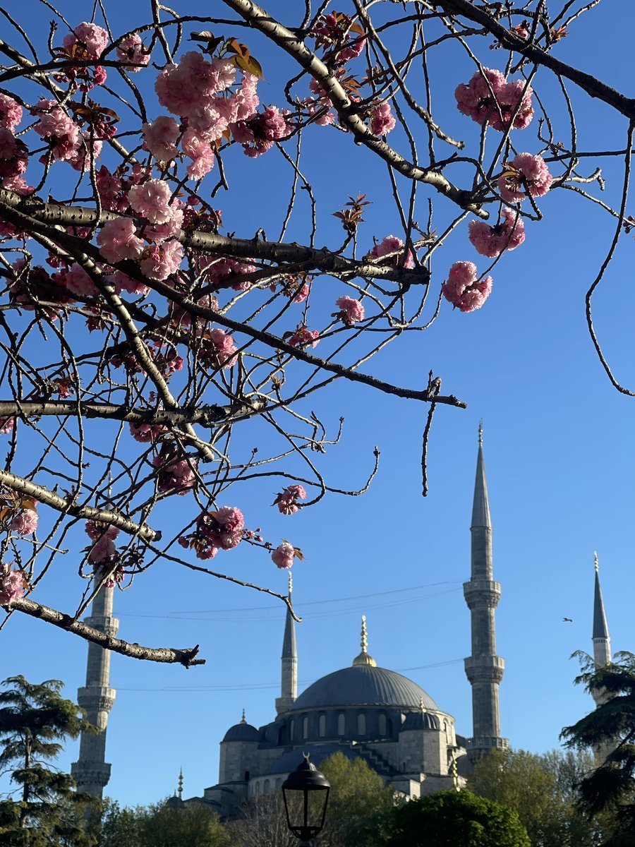 3e6rrr's tweet photo. فحاشى ظُنونِي أنْ تُرَدّ بخيبةٍ
وفي بابِكَ المأمول حطت رَواحلي

#الاجواء_الحلوة https://t.co/bfluiau6sV