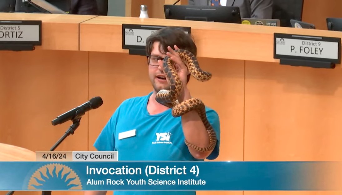 Totally normal day at San Jose City Council