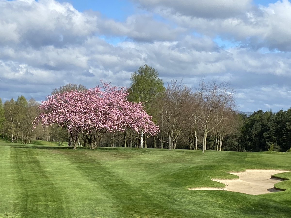 Fixbygaz's tweet photo. ⁦@woodsomegolf⁩ looking almost like Spring 👍 https://t.co/IZhKSxi1xb