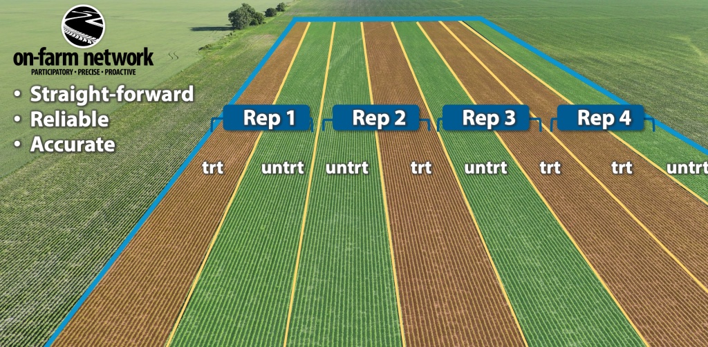 Catch last nights replay of #TheAgronomists on designing on-farm field trials w/ Elizabeth Hawkins of Ohio State University & Laura Schmidt w/ @MBPulseGrowers #cdnag #ontag #westcdnag