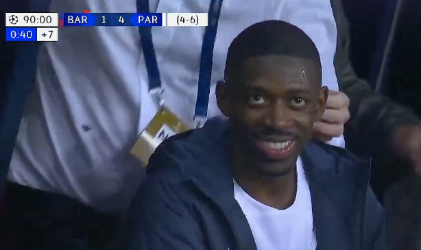 Ever wondered what pure, unadulterated happiness looks like?