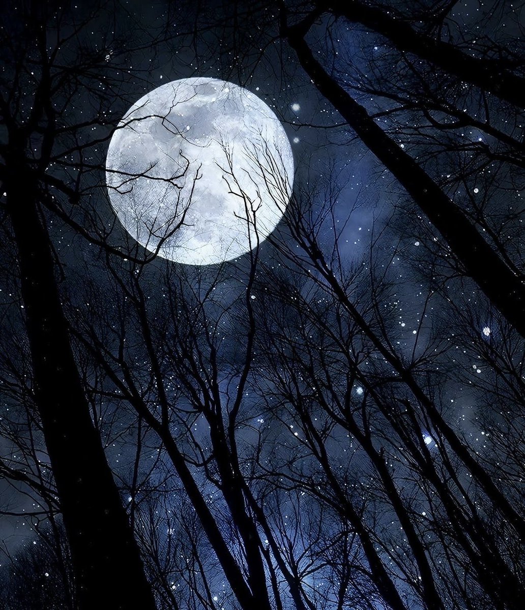 Goodnight everyone ! #photos #night #moonlight