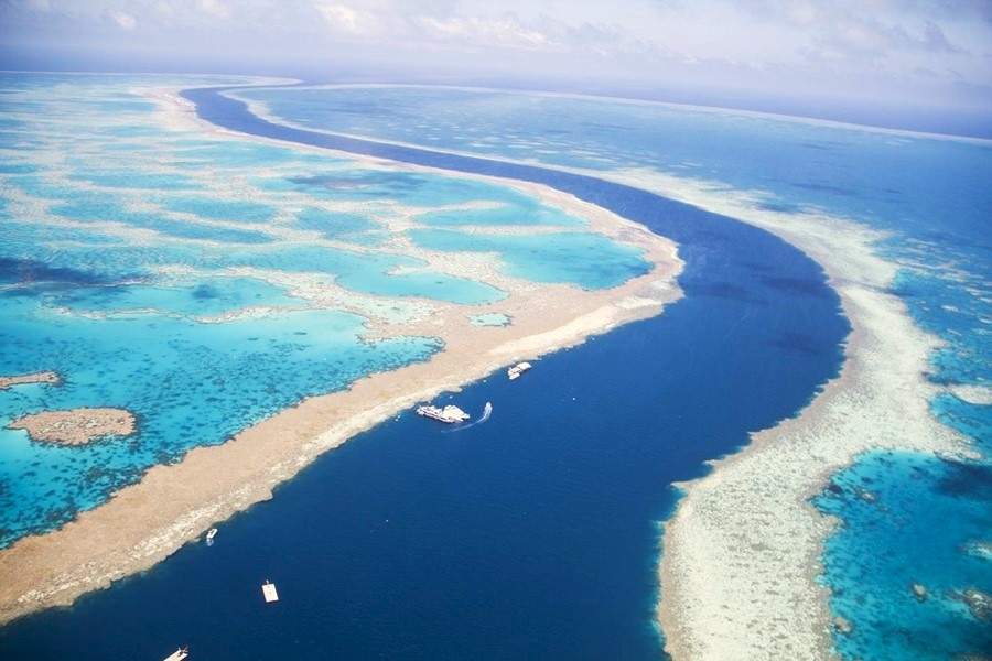 More than 54% of the world’s coral reef areas have experienced bleaching in the past year, likely to surpass the previous peak of 56.1% soon - affecting at least 53 countries in large swaths of the Atlantic, Pacific, and Indian Oceans. #WetTribe #TidetotheOcean #Coral